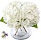 Hydrangea Artificial Flowers with Vase,White Real Touch Hydrangea Flowers with Butterfly,Faux Hydrangea Flowers for Floral Centerpieces for Tables,Home Decor,Wedding Decor,Coffee Table Decor